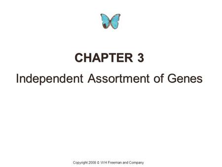 CHAPTER 3 Independent Assortment of Genes CHAPTER 3 Independent Assortment of Genes Copyright 2008 © W H Freeman and Company.
