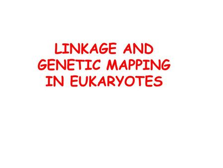 LINKAGE AND GENETIC MAPPING IN EUKARYOTES. In eukaryotic species, each linear chromosome contains a long piece of DNA A typical chromosome contains many.
