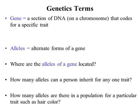 BIOL 160 Genetics Terms Gene = a section of DNA (on a chromosome) that codes for a specific trait Alleles = alternate forms of a gene Where are the alleles.