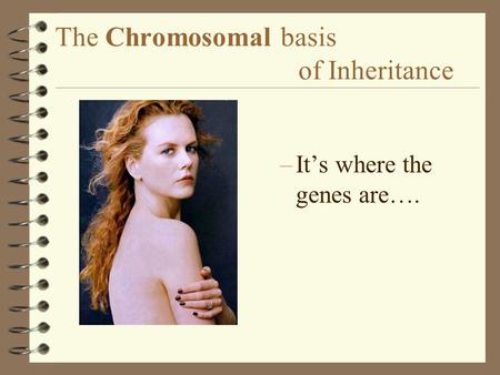 The Chromosomal basis of Inheritance