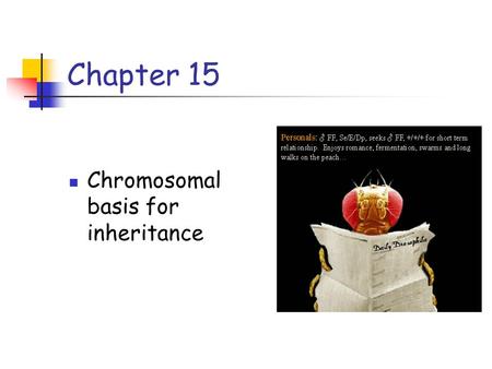 Chapter 15 Chromosomal basis for inheritance.