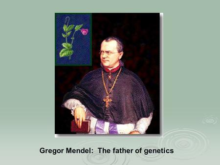 Gregor Mendel: The father of genetics. Mendel’s Inferences  The basic units of genetics are material elements (lengths of DNA)  These elements come.