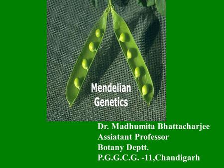 Dr. Madhumita Bhattacharjee Assiatant Professor Botany Deptt. P.G.G.C.G. -11,Chandigarh.