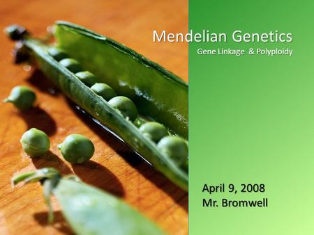April 2008 Mendelian Genetics Gene Linkage & Polyploidy April 9, 2008 Mr. Bromwell.