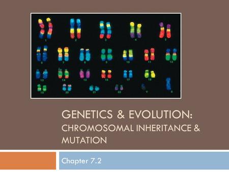 GENETICS & EVOLUtion: chromosomal inheritance & mutation