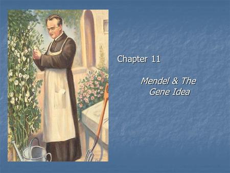 Chapter 11 Mendel & The 		 Gene Idea.