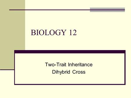 BIOLOGY 12 Two-Trait Inheritance Dihybrid Cross. Remember Mendel’s Peas… CharacterTraitAllele Seed shapeRoundR Wrinkledr Seed colourYellowY Greeny.