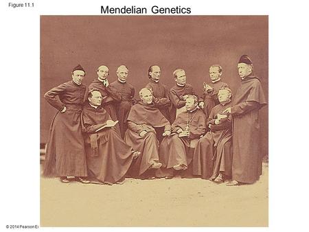 Mendelian Genetics Figure 11.1
