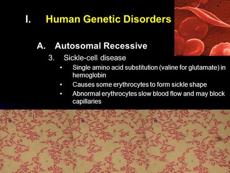 I. I.Human Genetic Disorders A. A.Autosomal Recessive 3. 3.Sickle-cell disease Single amino acid substitution (valine for glutamate) in hemoglobin Causes.