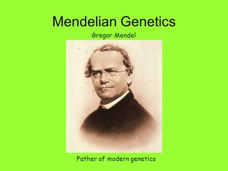Mendelian Genetics Gregor Mendel Father of modern genetics.