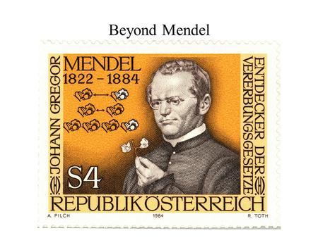 Beyond Mendel. Rediscovery of Mendel’s Work Carl Correns Erich von Tschermak Hugo De Vries.