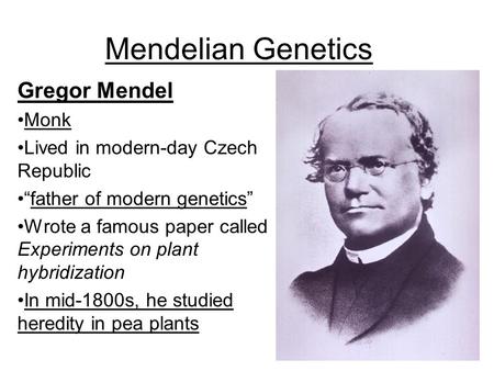 Mendelian Genetics Gregor Mendel Monk Lived in modern-day Czech Republic “father of modern genetics” Wrote a famous paper called Experiments on plant hybridization.