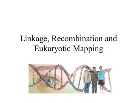 Linkage, Recombination and Eukaryotic Mapping. Outline Introduction Complete Linkage compared to independent assortment Crossing over with linked genes.