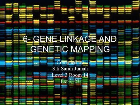 6- GENE LINKAGE AND GENETIC MAPPING Compiled by Siti Sarah Jumali Level 3 Room 14 Ext 2123.