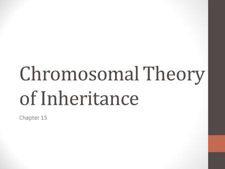 Chromosomal Theory of Inheritance