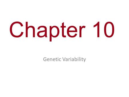 Chapter 10 Genetic Variability.