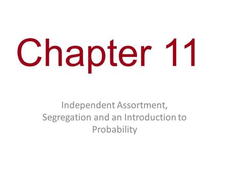 Chapter 11 Independent Assortment, Segregation and an Introduction to Probability.