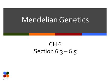 Mendelian Genetics CH 6 Section 6.3 – 6.5. Slide 2 of 26.