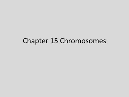 Chapter 15 Chromosomes. Chromosome theory of inheritance Genes located on chromosomes = gene locus Thomas Hunt Morgan, Columbia Univ. “Fly room”