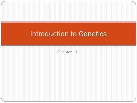 Chapter 11 Introduction to Genetics. Genetics The study of the inheritance of traits.