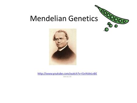 Mendelian Genetics  Start at 2:00.