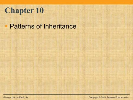 Chapter 10 Patterns of Inheritance.