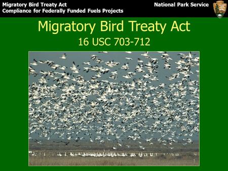 Migratory Bird Treaty Act National Park Service Compliance for Federally Funded Fuels Projects Migratory Bird Treaty Act 16 USC 703-712.