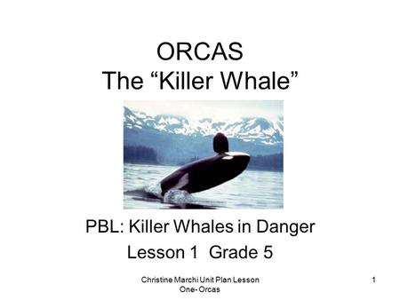 Christine Marchi Unit Plan Lesson One- Orcas 1 ORCAS The “Killer Whale” PBL: Killer Whales in Danger Lesson 1 Grade 5.