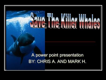 A power point presentation BY: CHRIS A. AND MARK H. A power point presentation BY: CHRIS A. AND MARK H.
