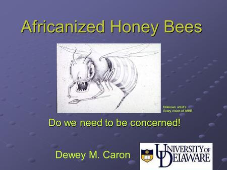 Africanized Honey Bees Do we need to be concerned! Unknown artist’s Scary vision of AfHB Dewey M. Caron.