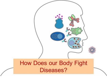 How Does our Body Fight Diseases?. The Immune System!