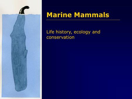 Marine Mammals Life history, ecology and conservation.
