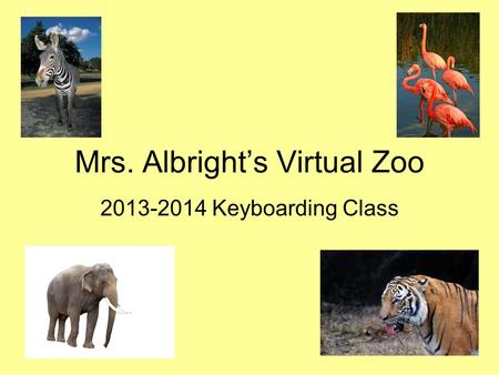 Mrs. Albright’s Virtual Zoo