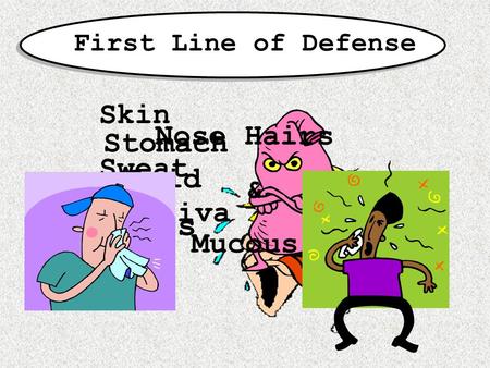 First Line of Defense Skin Sweat Tears Saliva Stomach Acid Nose Hairs & Mucous.