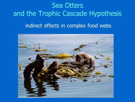 Sea Otters and the Trophic Cascade Hypothesis indirect effects in complex food webs.