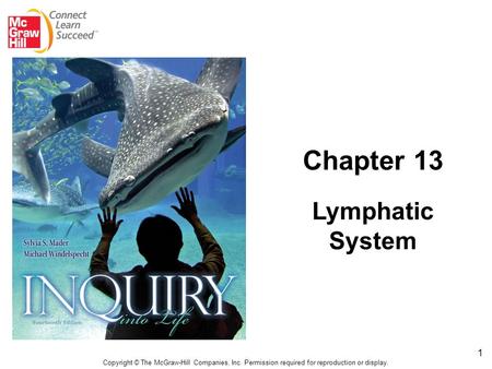 1 Copyright © The McGraw-Hill Companies, Inc. Permission required for reproduction or display. Chapter 13 Lymphatic System.