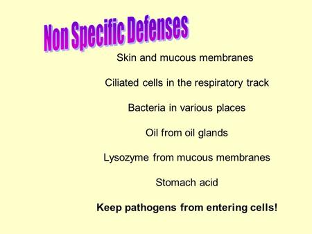 Skin and mucous membranes Ciliated cells in the respiratory track Bacteria in various places Oil from oil glands Lysozyme from mucous membranes Stomach.