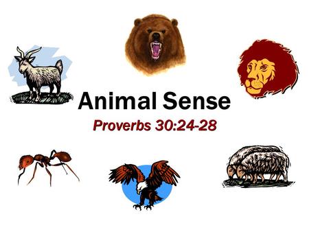 Animal Sense Proverbs 30:24-28. 2 Sheep and wolves Snakes and doves Matt. 10:16 Sheep and wolves Snakes and doves Matt. 10:16 Jesus Used Animals to Teach.