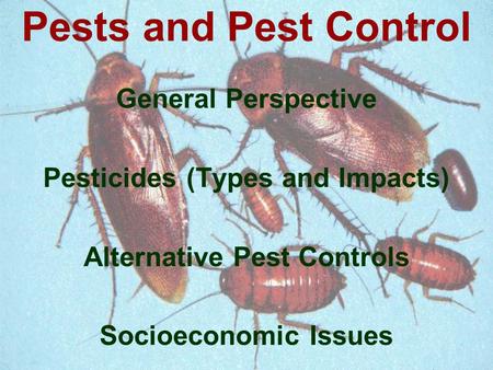 General Perspective Pesticides (Types and Impacts) Alternative Pest Controls Socioeconomic Issues Pests and Pest Control.