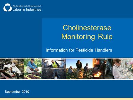 Cholinesterase Monitoring Rule Information for Pesticide Handlers September 2010.
