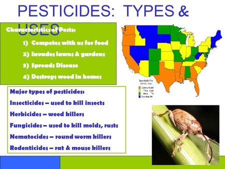 PESTICIDES: TYPES & USES Characteristics of Pests: 1)Competes with us for food 2)Invades lawns & gardens 3)Spreads Disease 4)Destroys wood in homes Major.