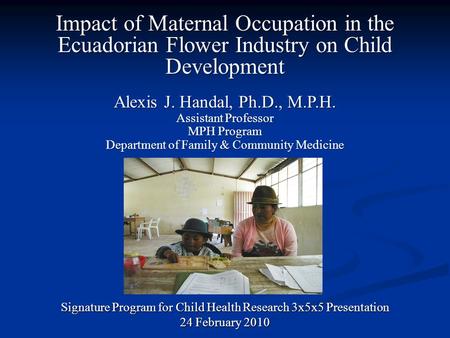 Impact of Maternal Occupation in the Ecuadorian Flower Industry on Child Development Signature Program for Child Health Research 3x5x5 Presentation 24.