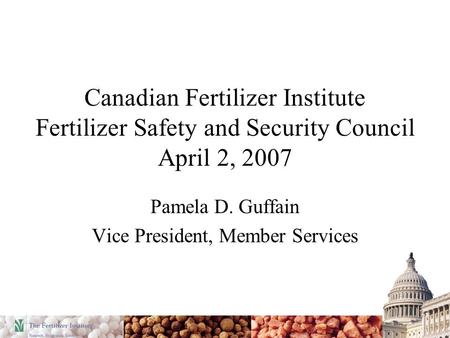 Canadian Fertilizer Institute Fertilizer Safety and Security Council April 2, 2007 Pamela D. Guffain Vice President, Member Services.