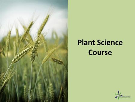 Plant Science Course. Goals Understand how herbicides, pesticides and fertilizers affect health. – Understand the negative respiratory health effects.
