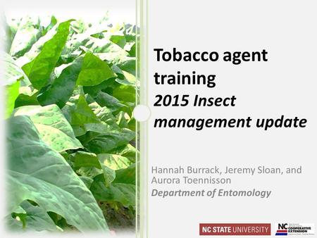 Tobacco agent training 2015 Insect management update Hannah Burrack, Jeremy Sloan, and Aurora Toennisson Department of Entomology.