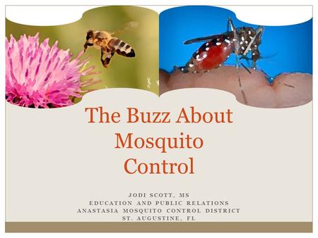 JODI SCOTT, MS EDUCATION AND PUBLIC RELATIONS ANASTASIA MOSQUITO CONTROL DISTRICT ST. AUGUSTINE, FL The Buzz About Mosquito Control.