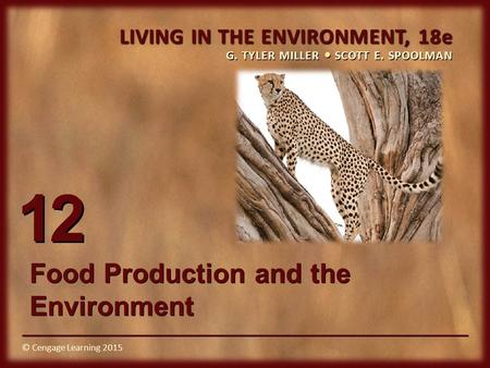 Food Production and the Environment