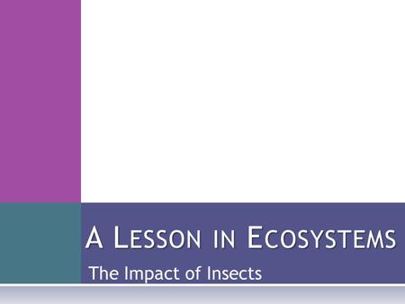 The Impact of Insects A L ESSON IN E COSYSTEMS. H ELPFUL VS. HARMFUL  Insects can be very helpful to humans:  The honey bee helps pollinate crops, so.