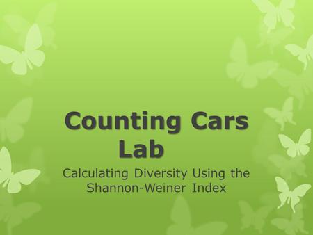 Calculating Diversity Using the Shannon-Weiner Index