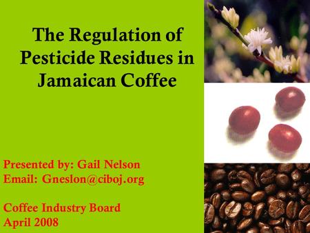The Regulation of Pesticide Residues in Jamaican Coffee Presented by: Gail Nelson   Coffee Industry Board April 2008.